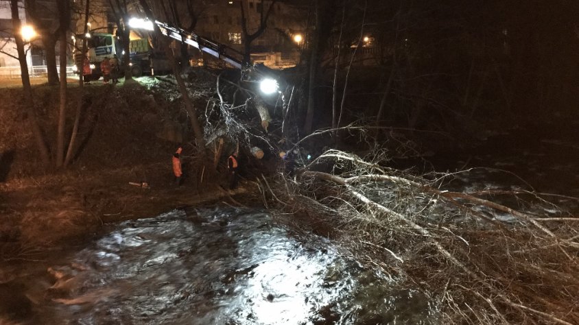 La grua retirant l'arbre caigut, aquest vespre a Ripoll