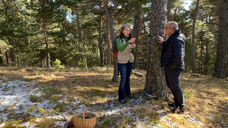 Marta Mateu i David Verge al bosc de Planoles aquest dissabte