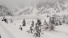Gruixos de neu molt importants a Vall de Núria i Vallter 2000