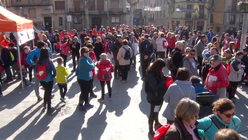 Gran participació a la caminada