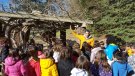 Els alumnes de l'escola de Sant Joan celebren la Festa de l'Arbre