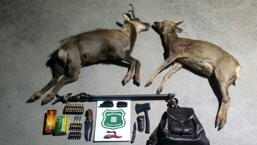 Els animals i el material requisat als caçadors furtius