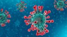 Primer cas de coronavirus confirmat al Ripollès