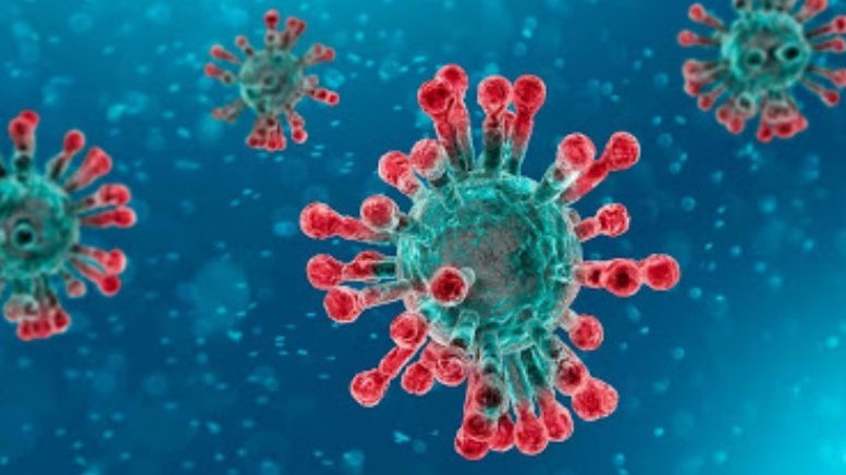 Primer cas de COVD-19 al Ripollès confirmat aquest dimecres