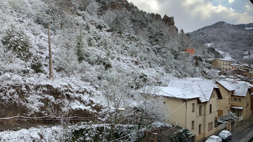 Enfarinada en poblacions com Ribes de Freser