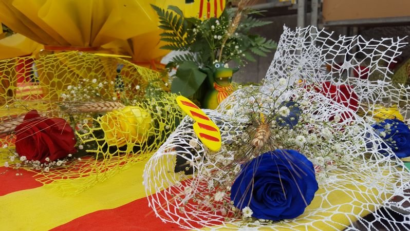 Les roses no faltaran al Ripollès