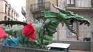 Així ha estat el Sant Jordi de confinament al Ripollès