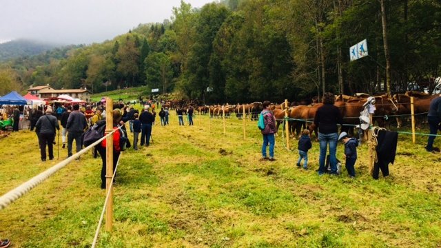 El bon temps va acompanyar un nou èxit de la Tria