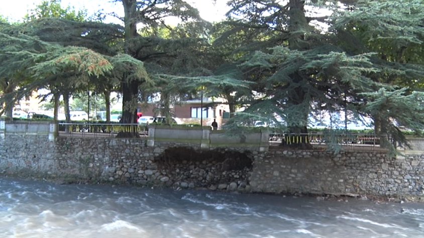 L'esllavissada posa els arbres en perill