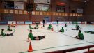 L'Hoquei Club Ripoll torna als entrenaments amb el protocol de seguretat 