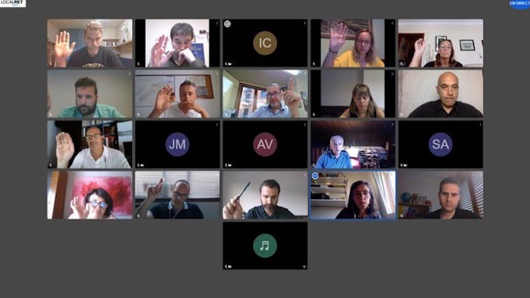 Sessió telemàtica del ple del Consell