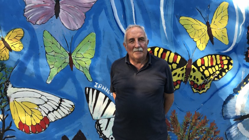 Eudald Alabau gairebé ja té enllestit el mural de les papallones