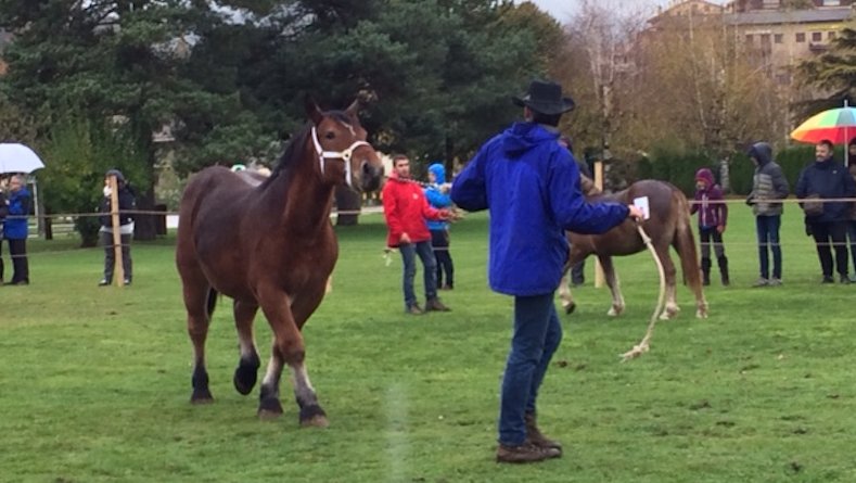 Es reclama als alcaldes de la Vall de Camprodon una carpa per realitzar esdeveniments a l'aire lliure en cas de mal temps