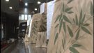 La capital de la comarca engega la campanya #Ripollpercompartir