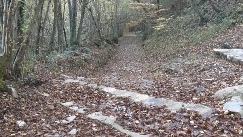 Aquest any s'havia de celebrar la 26a edició