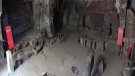 S'aprova l'últim tràmit del procés de la Farga Palau com a seu del Museu de la Ciència i la Tècnica