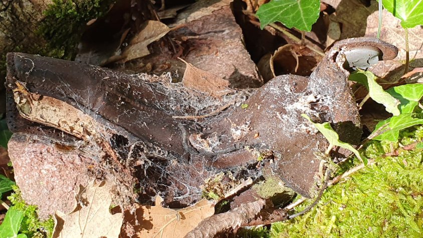 Detall de la funda de la pistola localitzada al camí de la Retirada