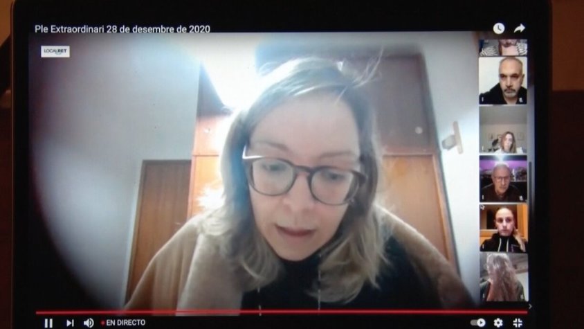 Ple telemàtic de l'ajuntament de Ribes de Freser