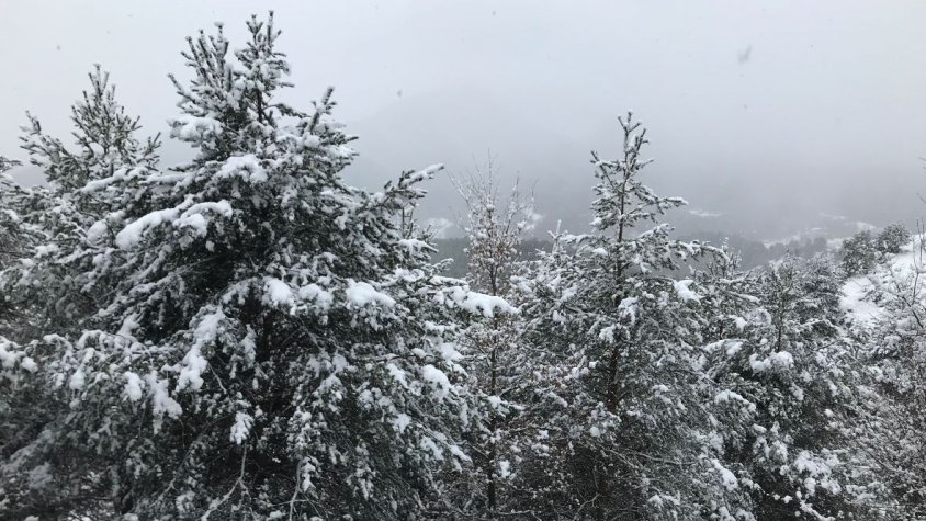 Una imatge de la muntanya de Sant Roc, a Ripoll, aquest matí