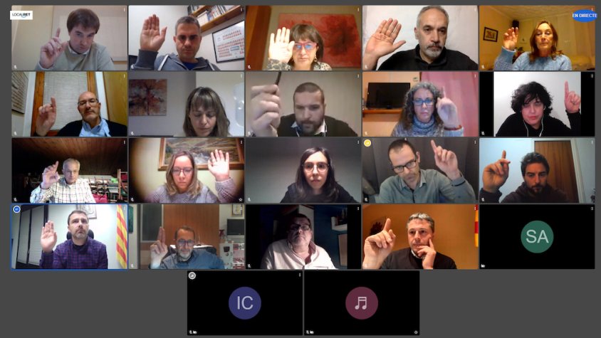 La participació a la sessió plenària va ser, de nou, telemàtica aquest dimarts al vespre