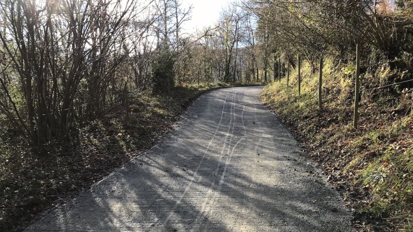 Estat actual del camí de Fogonella