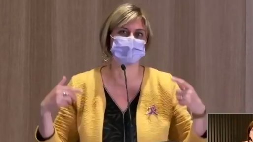 La conselera Vergés durant la roda de premsa d'aquest dimarts a la tarda