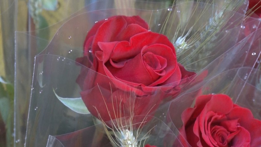 Les floristeries van fer curt en les seves previsions de venda de roses