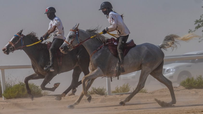 Durant la prova de cavalls a Dubai