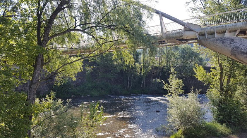 S'establiran més d'una desena de trams, on els participants podran pescar les truites