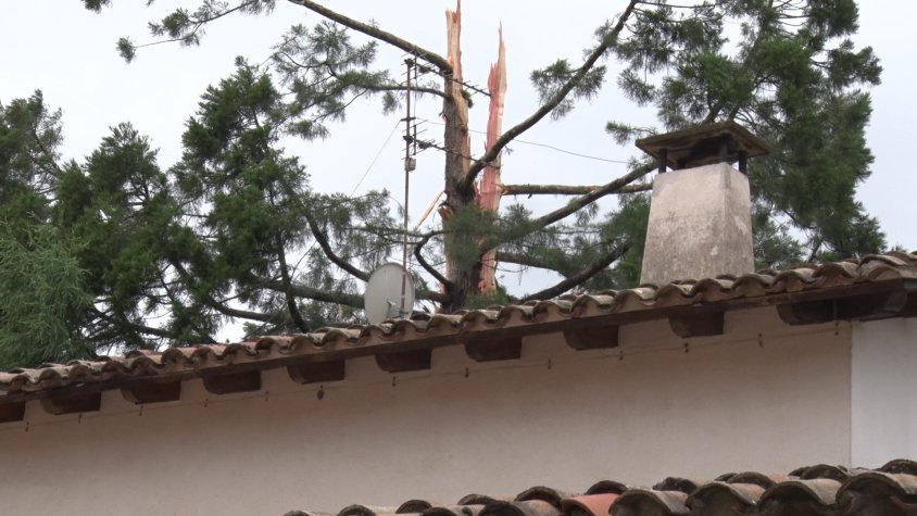 El llamp ha partit el tronc de l'arbre