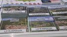 Els 19 municipis de la comarca participen en la creació d'uns fullets turístics per potenciar el Ripollès