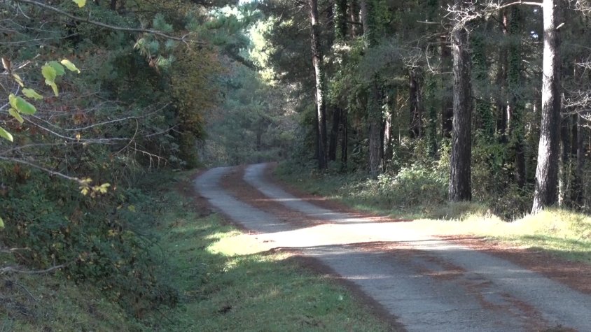 El 40% de la subvenció es destinarà a l'arranjament de camins