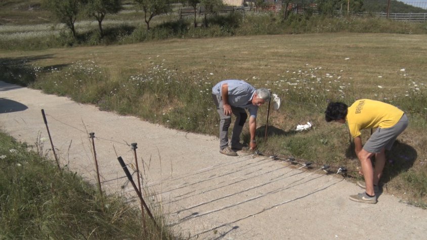 El ramader sancionat i el seu fill mostren la tanca eletrificada a tocar de terra que havien estat col·locant