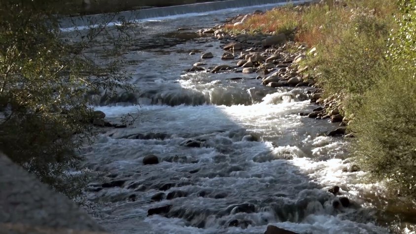 Es vol remarcar aquest punt singular de Ripoll