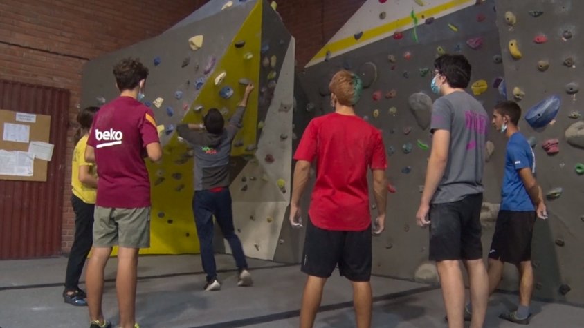 Es divideixen en dos grups en funció del nivell