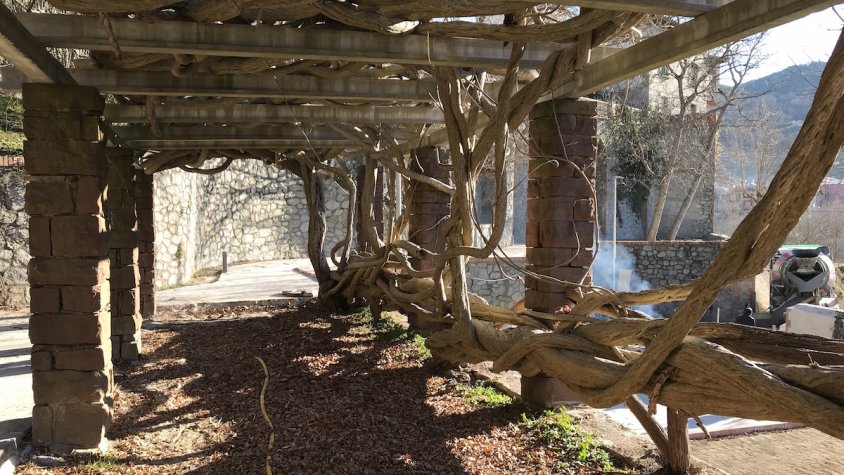 Els treballs segueixen en marxa als Jardins de la Puda