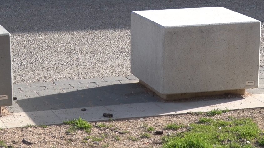 Els excrements dels animals són una problemàtica que s'estén en diversos municipis de la comarca