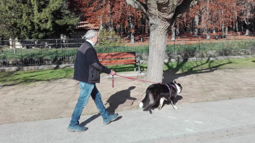 Un veí de Sant Joan passeja el seu gos davant del recinte habilitat per a aquests animals a la vila