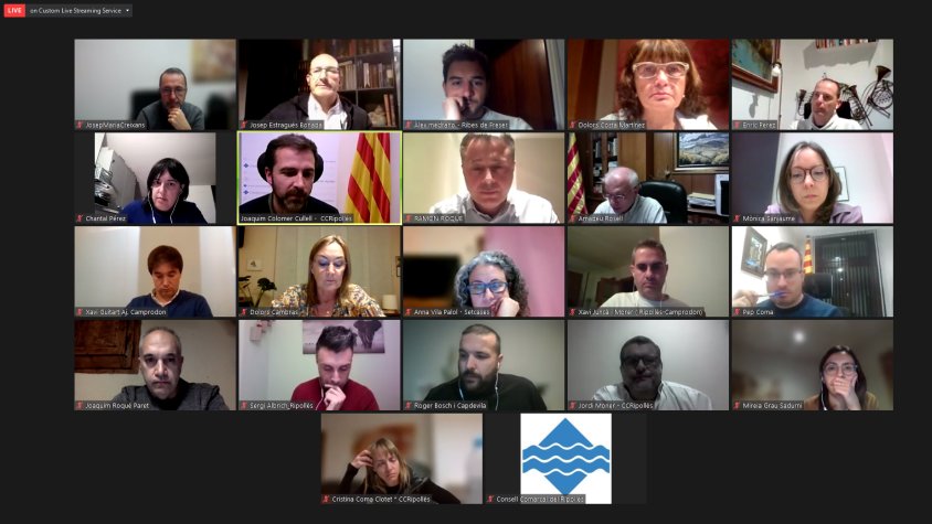 El ple del Consell s’ha celebrat de manera telemàtica per la situació epidemiològica