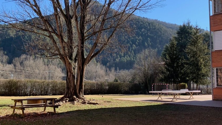 Pati actual de l'institut Abat Oliba de Ripoll