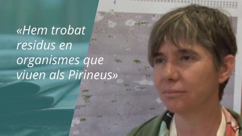 «Hem trobat microplàstics en organismes vius»