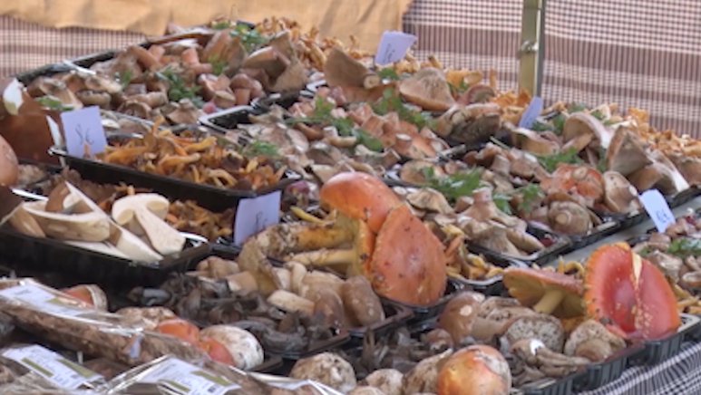Parada a la Fira del Bolet de Setcases