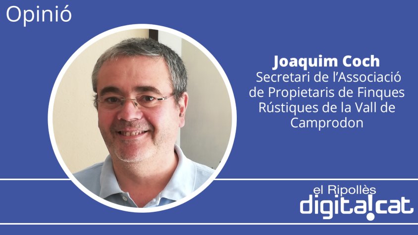 Gestió forestal sostenible: els perquès de tot plegat