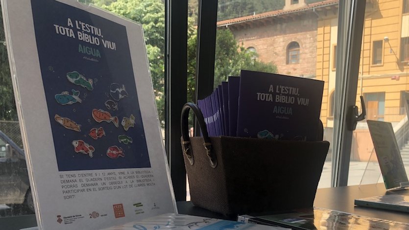 Quadernet d'estiu i alguns dels llibres complementaris