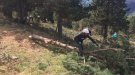 El Projecte Boscos de Muntanya torna al Ripollès per cinquè any