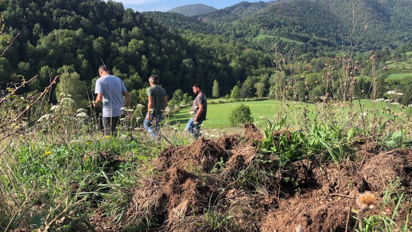 Agricultors, ramaders i caçadors en un camp danyat per senglars a la Vall de Camprodon