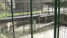 El Consell Comarcal treballa per obrir noves depuradores al Ripollès