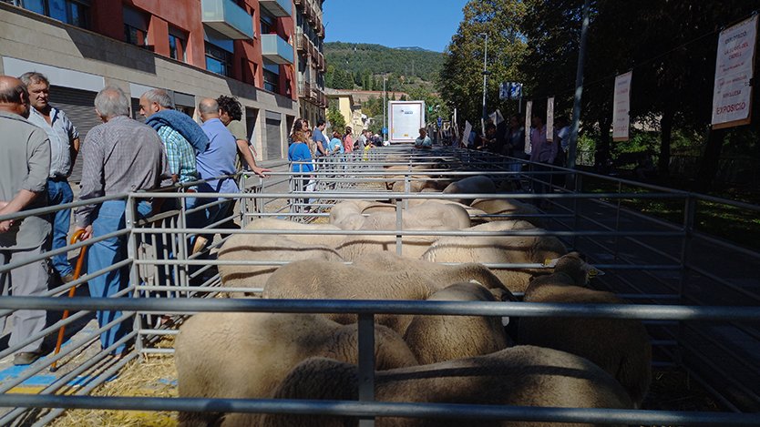 Centenars de persones visiten la Fira de Santa Teresa cada any