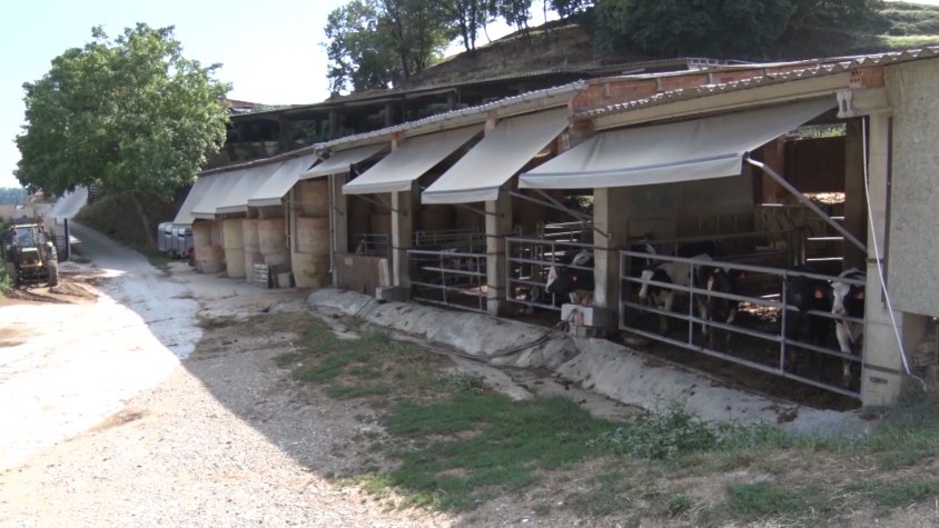 El nombre d'explotacions a la comarca ha crescut un 40%
