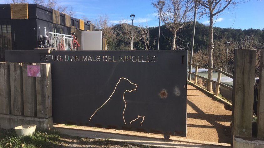 Entrada del Refugi d'Animals del Ripollès